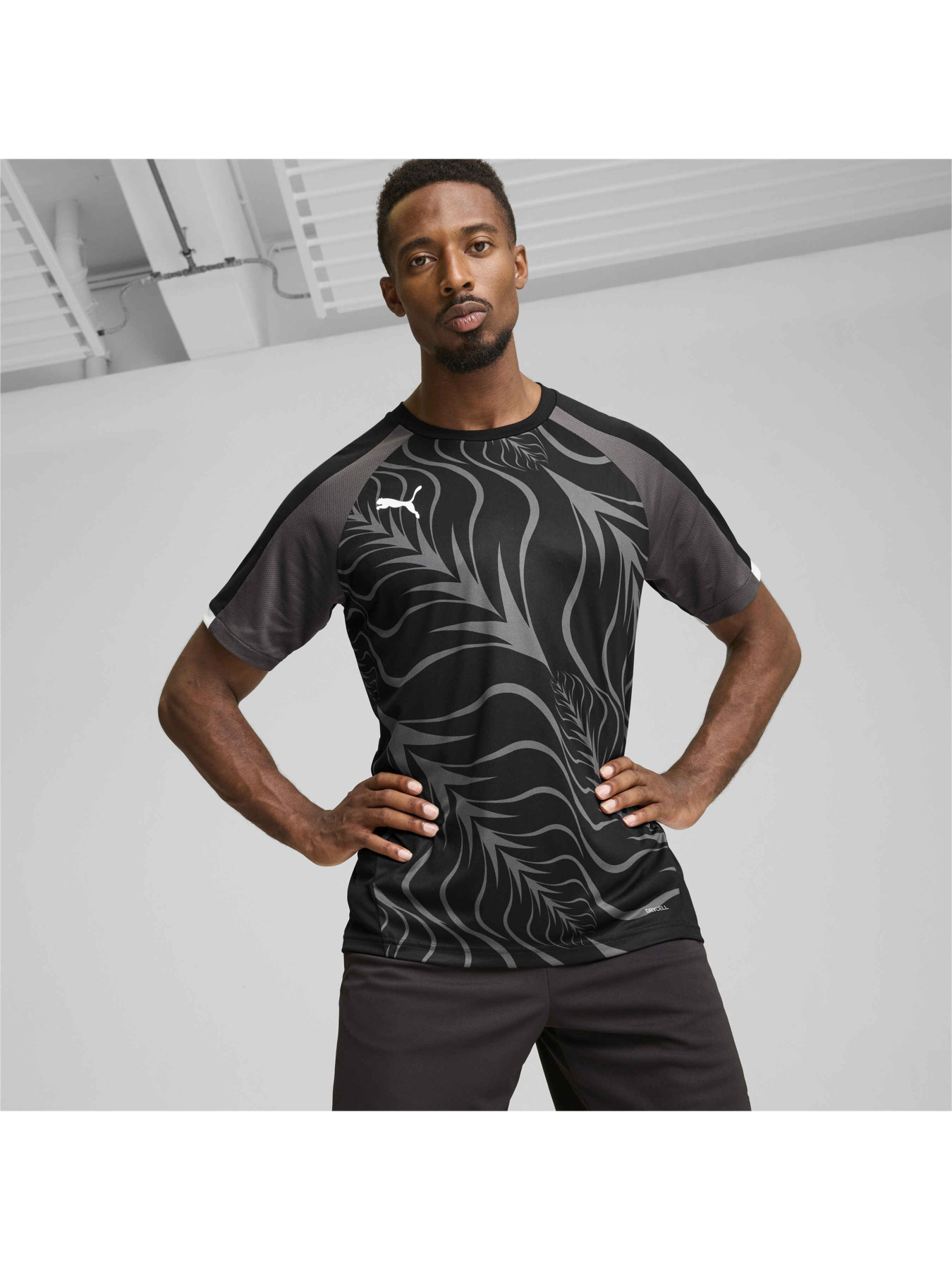 Спортивная футболка PUMA Individualliga Graphicjersey модель 659524 Спортивная футболка PUMA Individualliga Graphicjersey модель 659524 Фото