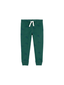 Джоггеры Carter’s модель 1N596110 Фото