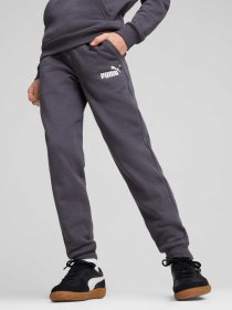 Спортивні штани PUMA Ess Logo Pants модель 586973 Фото