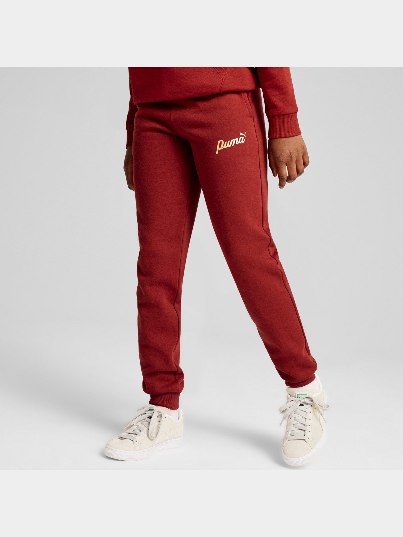 Спортивні штани PUMA Ess+ Script Pants Fl модель 682799 Фото