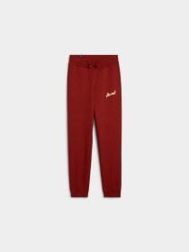 Спортивні штани PUMA Ess+ Script Pants Fl модель 682799 Фото