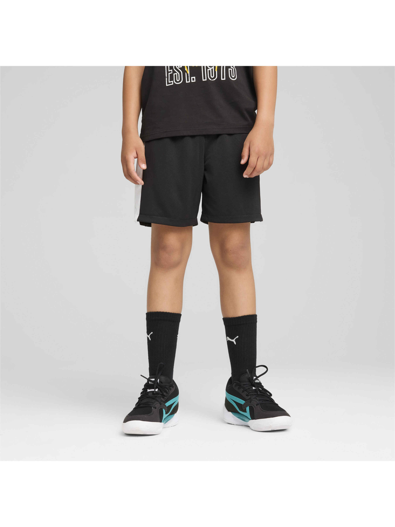 Шорты спортивные PUMA Bball Blueprint Mesh Shorts модель 679983 Фото