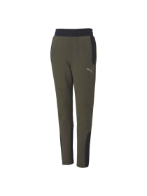 Штани спортивні PUMA Evostripe Pants модель 583229 Фото