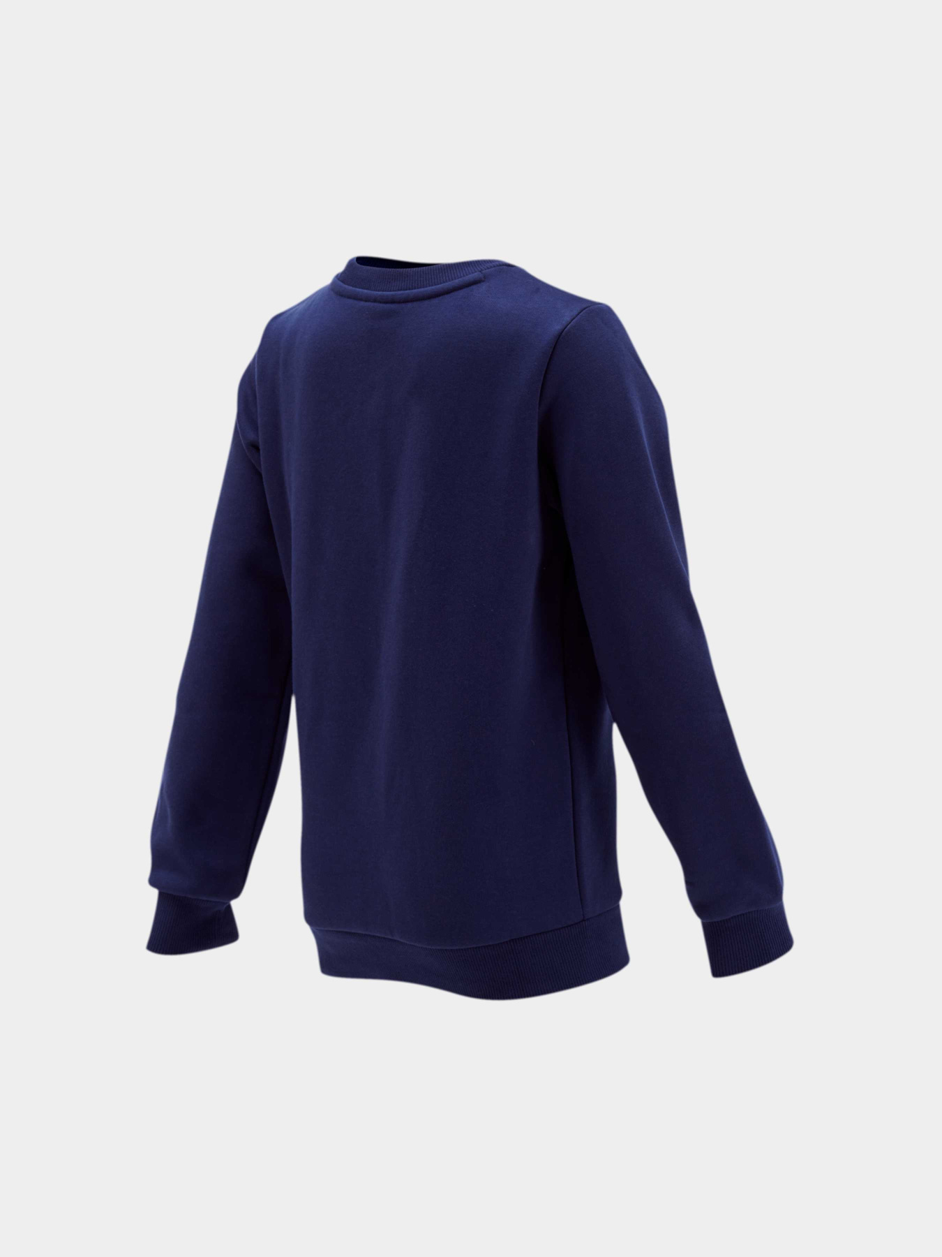 Свитшот PUMA Boys Ess Crew Sweat Fl модель 854965 Фото