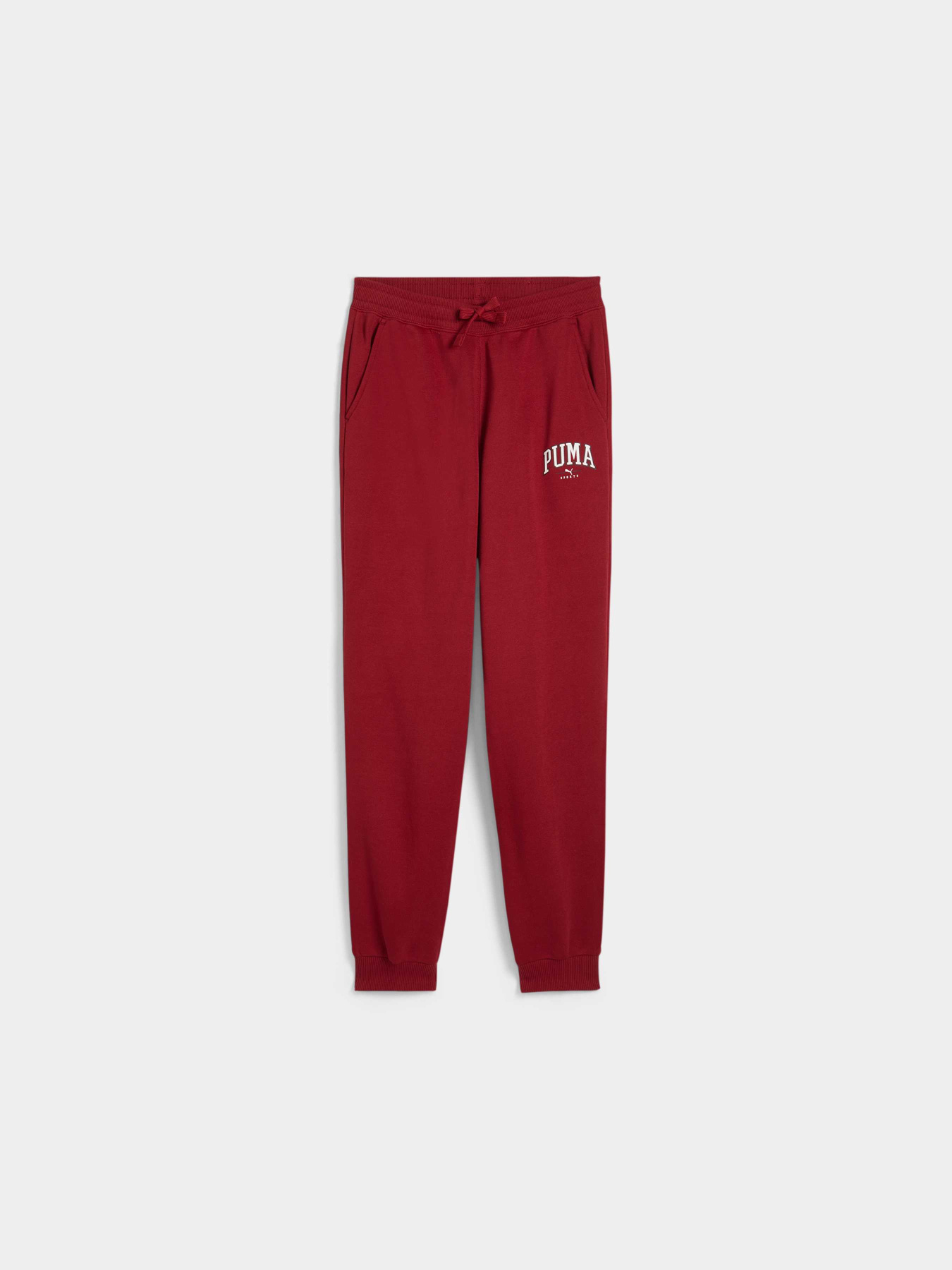 Штаны спортивные PUMA Squad Sweatpants модель 681781 Фото