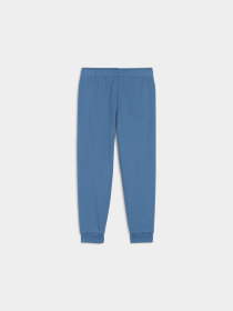 Штаны спортивные PUMA Ess+ Fc Sweatpants модель 681884 Фото