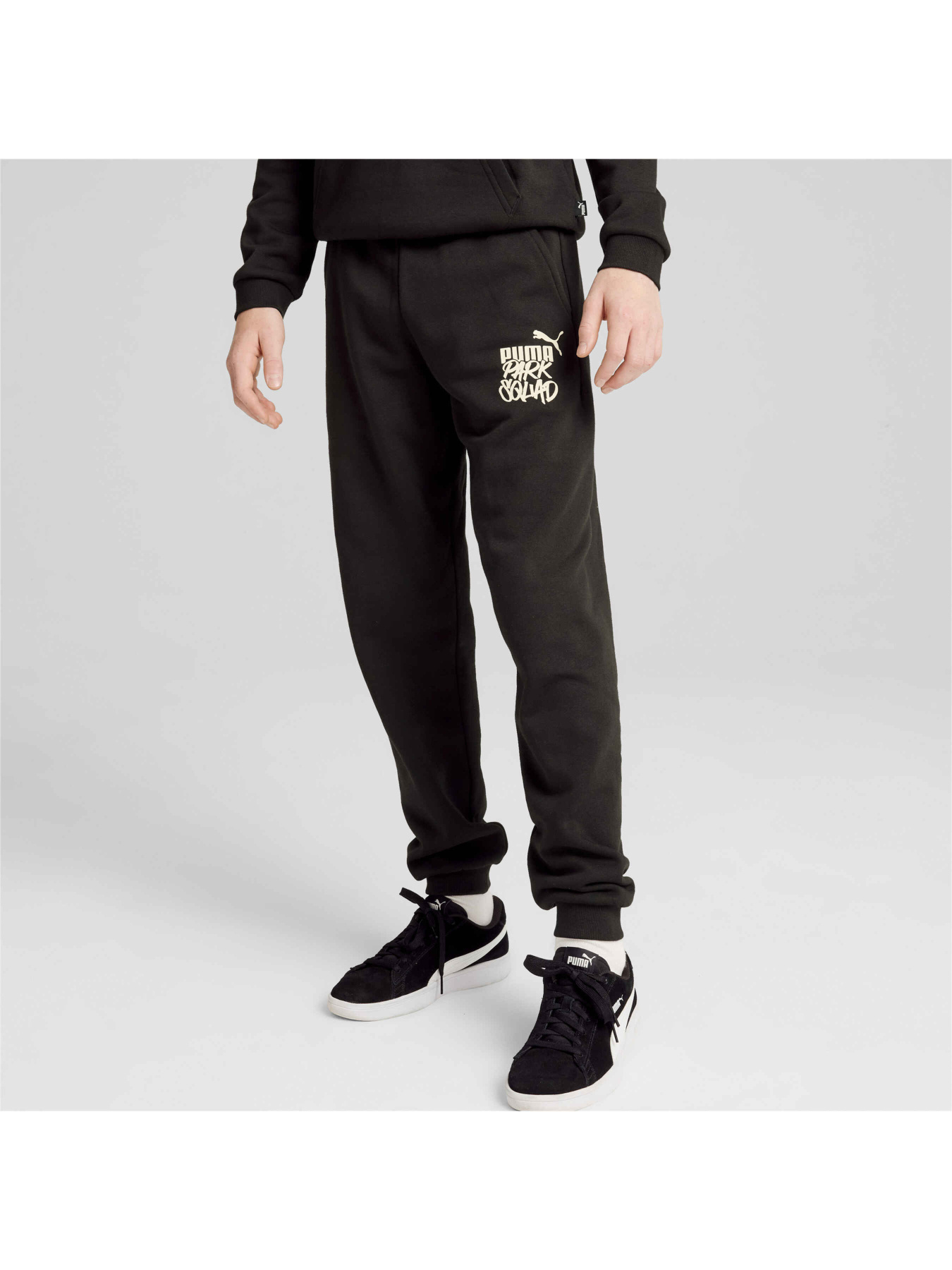 Спортивні штани PUMA Ess+ Mid 90s Sweatpants Fl модель 681878 Фото