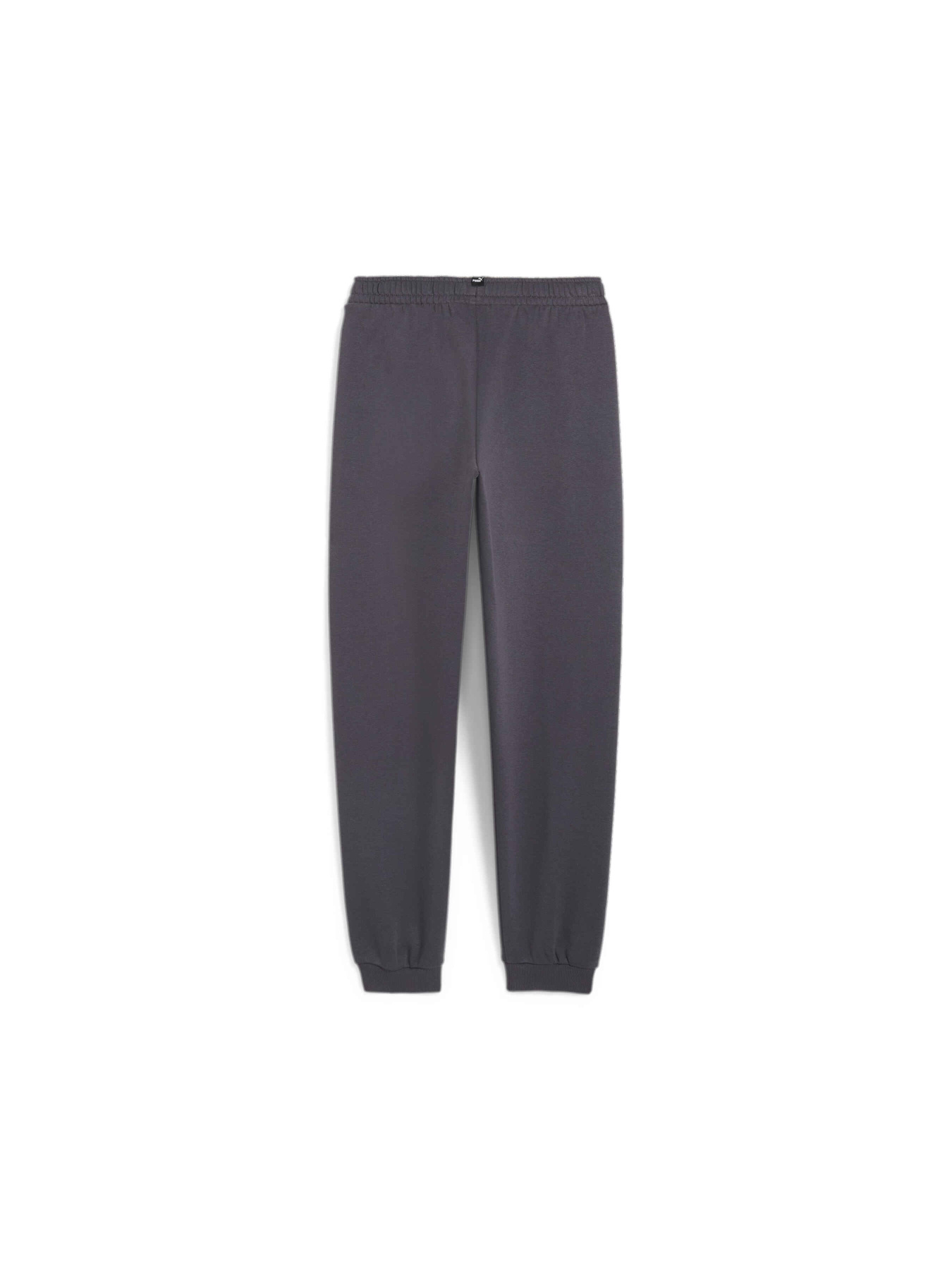 Штаны спортивные PUMA Ess+ Mid 90s Sweatpants Fl модель 681878 Фото