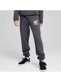 Штаны спортивные PUMA Ess+ Mid 90s Sweatpants Fl модель 681878 Фото