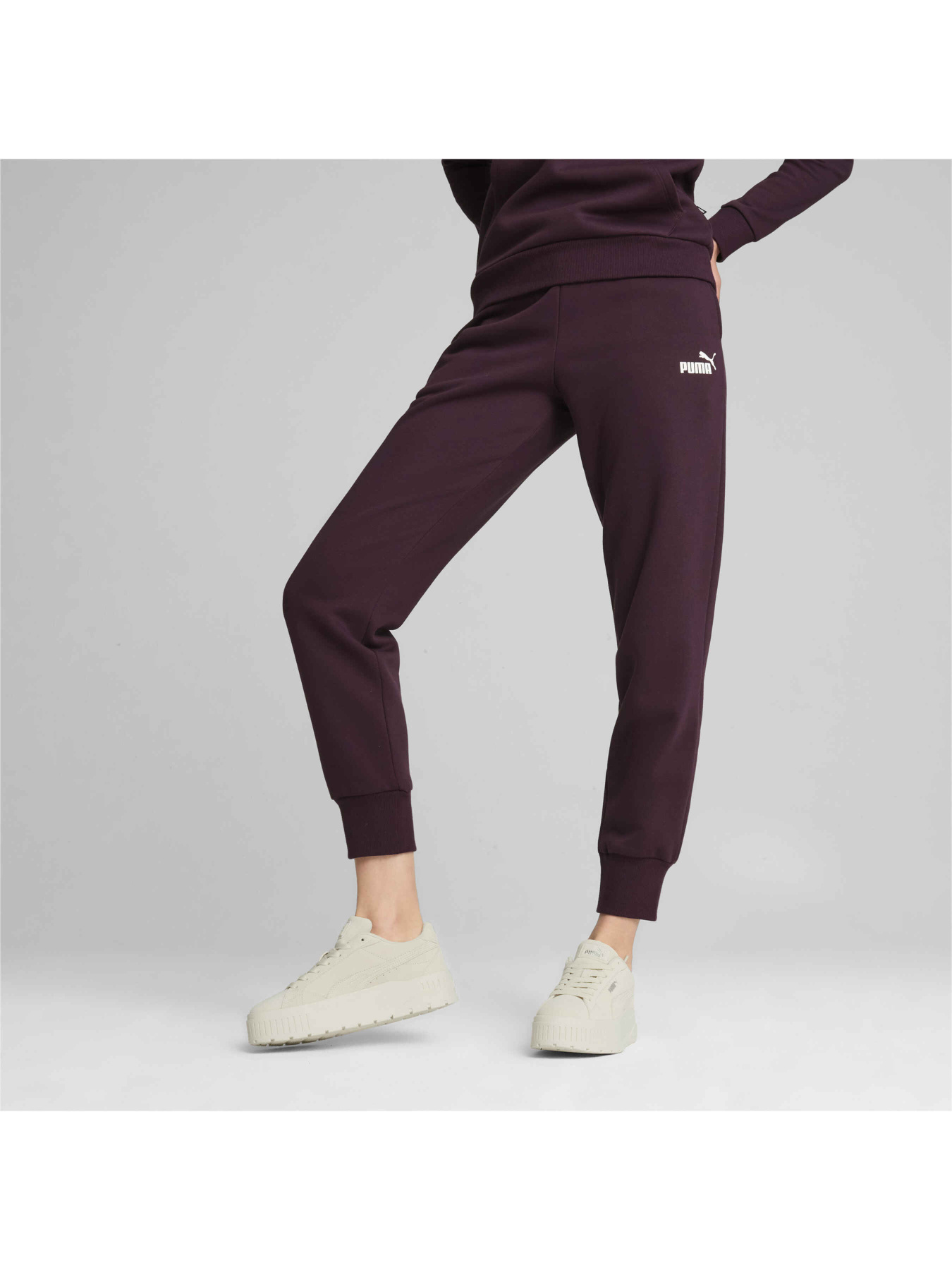 Спортивні штани PUMA Ess Sweatpants модель 586841 Фото