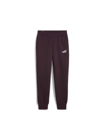 Спортивні штани PUMA Ess Sweatpants модель 586841 Фото