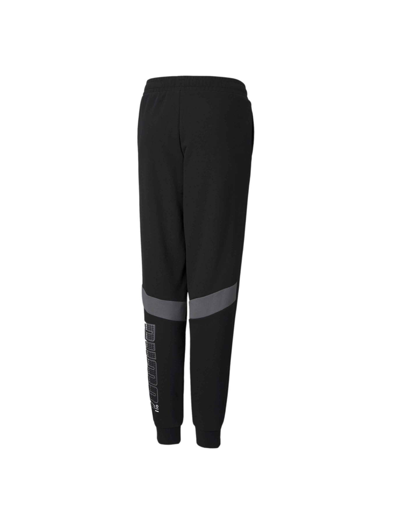 Спортивні штани PUMA Active Sports Sweatpants модель 585862 Спортивні штани PUMA Active Sports Sweatpants модель 585862 Фото