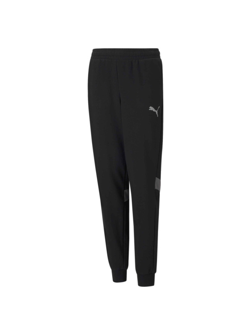 Спортивні штани PUMA Active Sports Sweatpants модель 585862 Фото