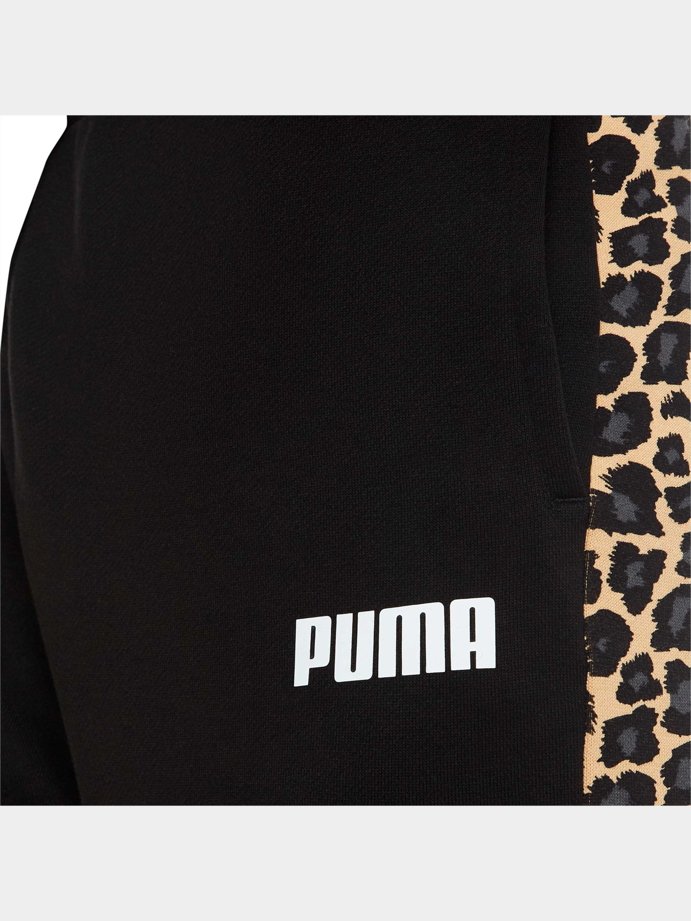 Штани PUMA Leo Sweat Pants Fl Cl модель 848283 Фото