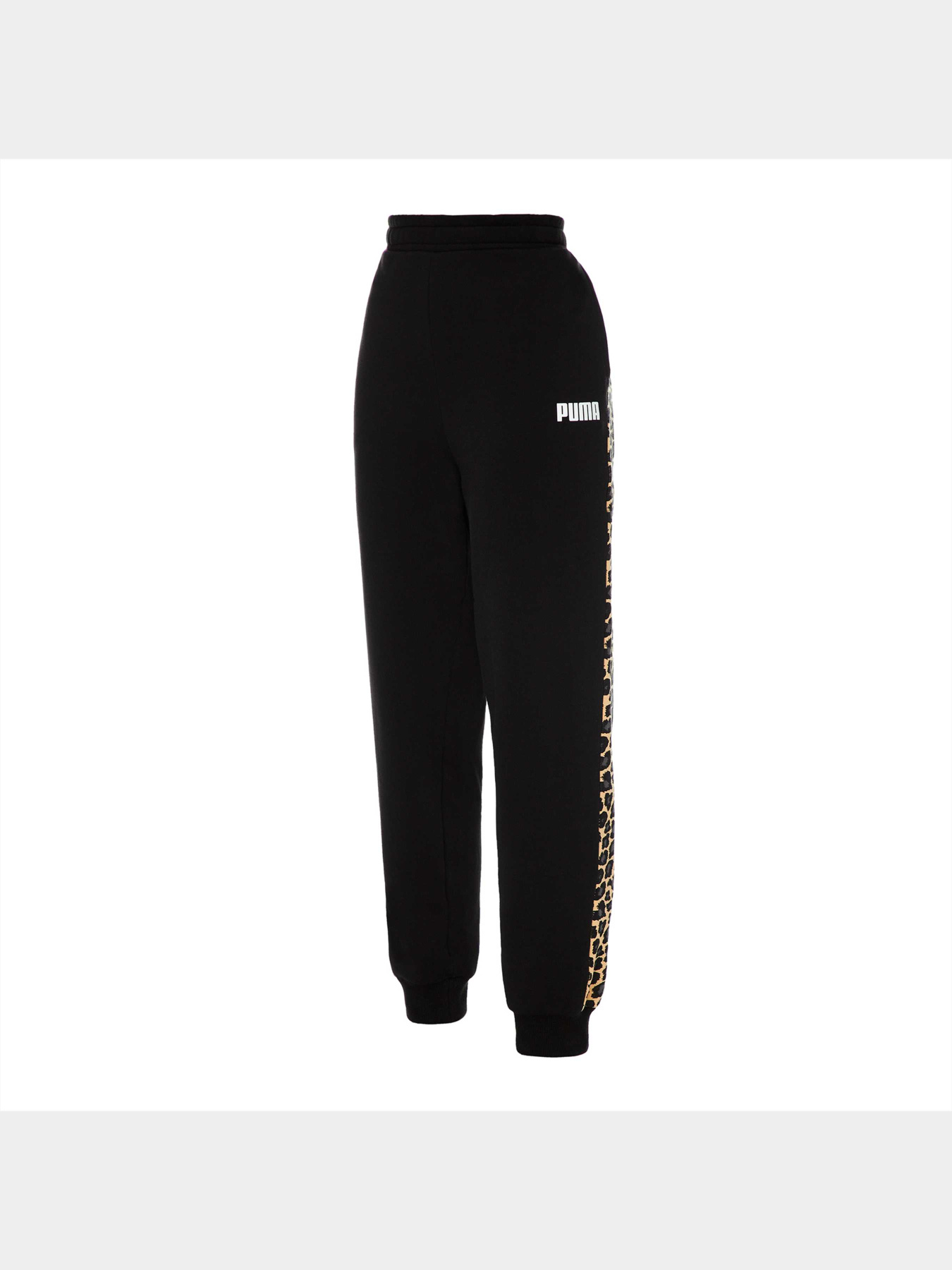 Штани PUMA Leo Sweat Pants Fl Cl модель 848283 Фото