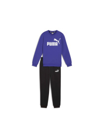 Спортивный костюм PUMA No.1 Logo Sweat Suit модель 670884 Фото