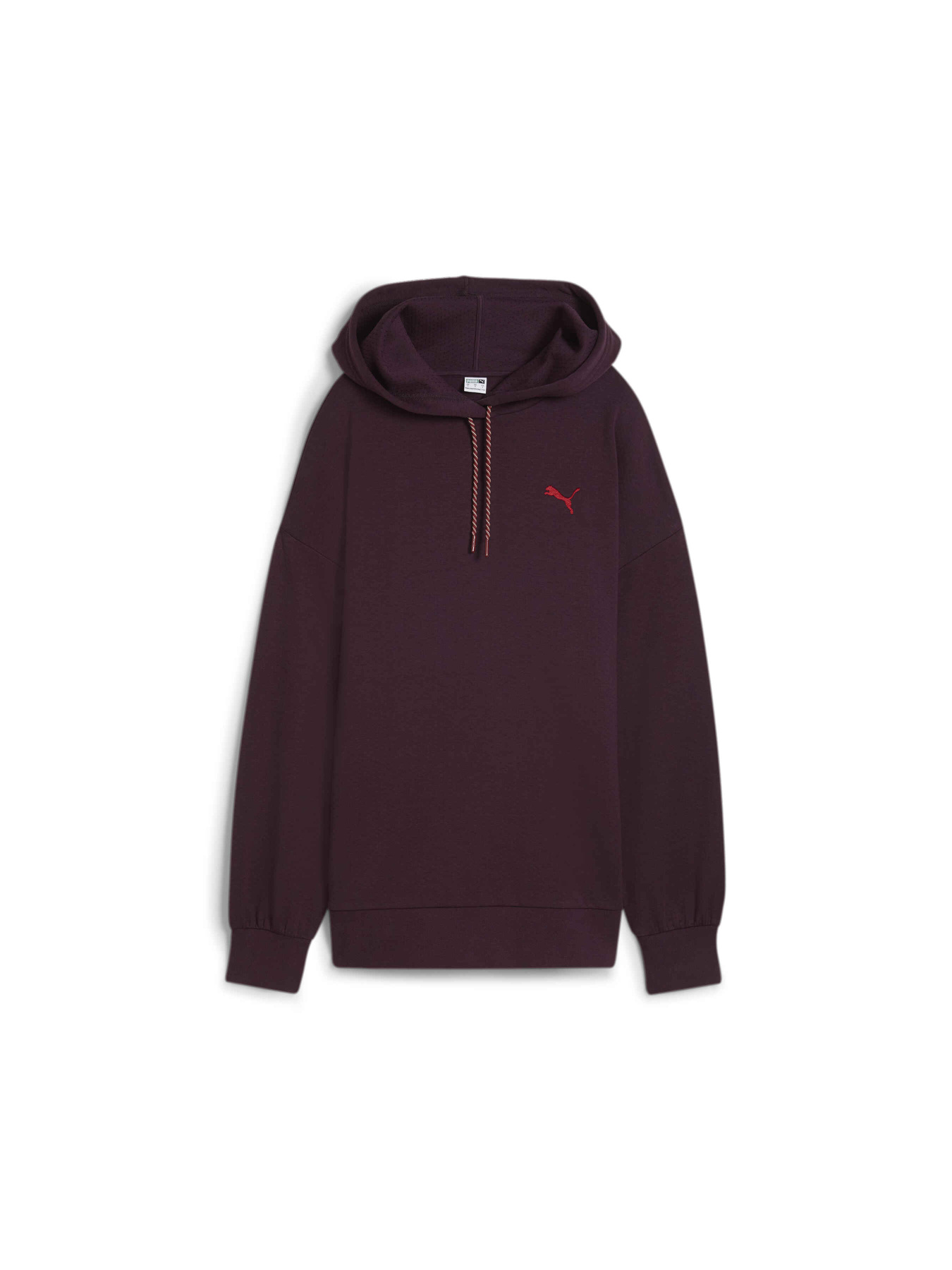 Худі та світшоти PUMA Classics Oversized Hoodie модель 626636 Фото