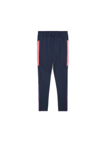 Штаны спортивные PUMA Individualfinaltrainingpants модель 659585 Фото