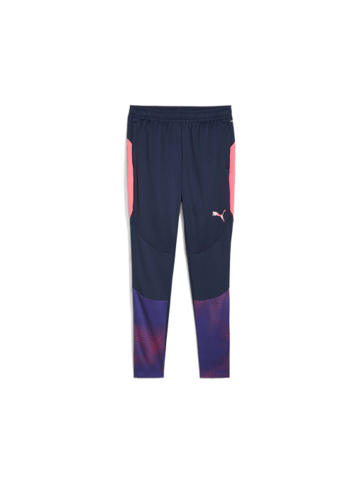 Штаны спортивные PUMA Individualfinaltrainingpants модель 659585 Фото