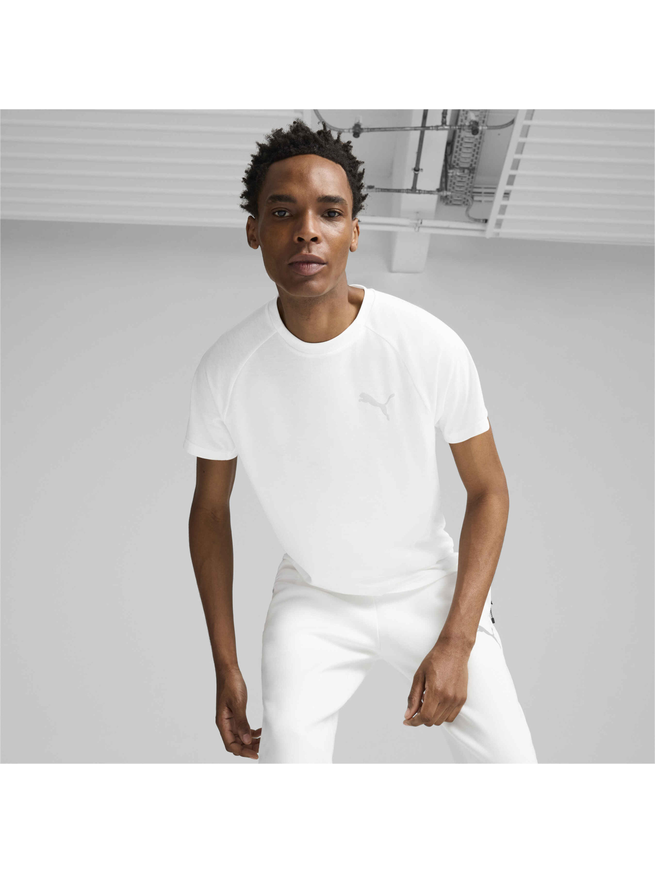 Футболка PUMA Evostripe Tee модель 681697 Фото