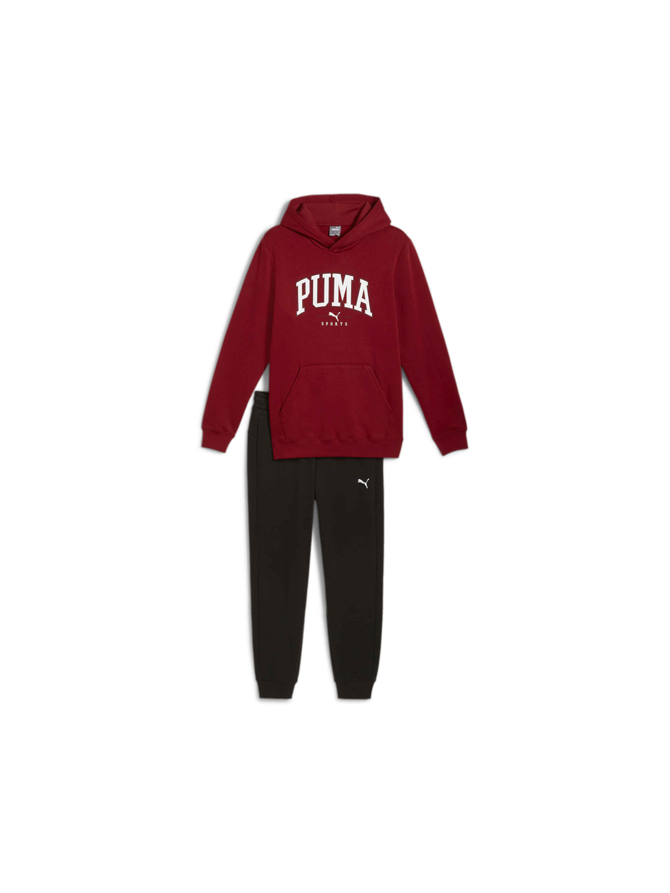 Спортивний костюм PUMA Squad Hooded Suit Fl модель 683817 Фото