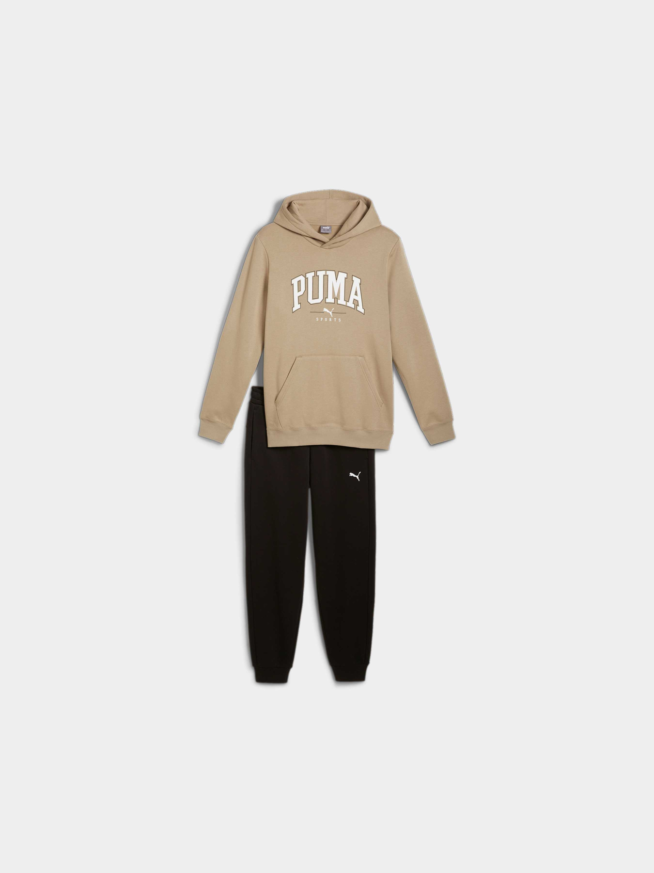 Спортивный костюм PUMA Squad Hooded Suit Fl модель 683817 Фото