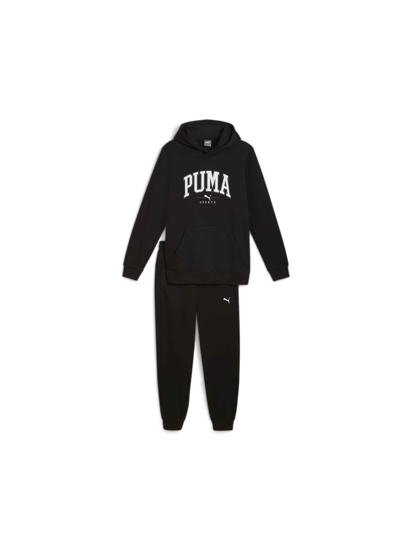 Спортивный костюм PUMA Squad Hooded Suit Fl модель 683817 Фото