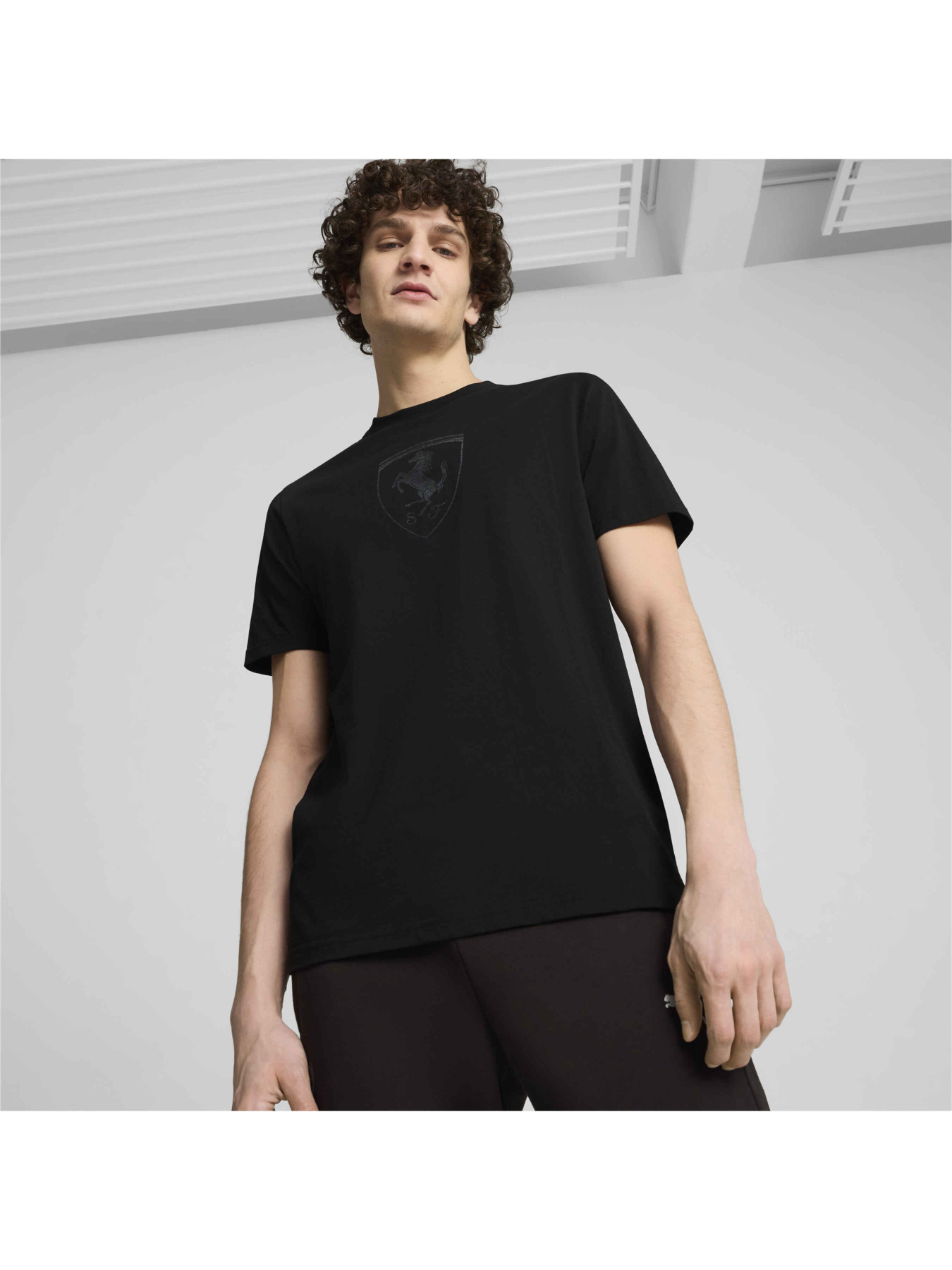 Футболка спортивная PUMA Ferrari Race Tonal Shield T модель 627057 Фото