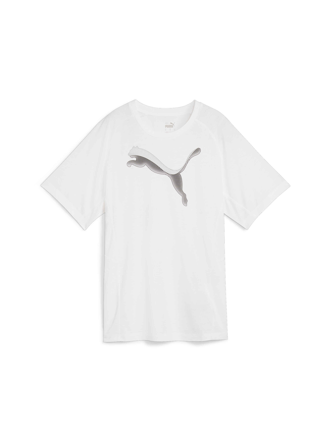 Футболка спортивна PUMA Evostripe Tee модель 681668 Фото