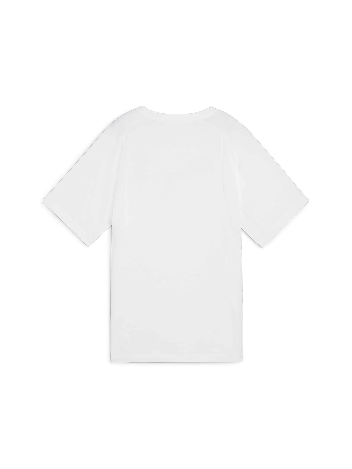 Футболка спортивная PUMA Evostripe Tee модель 681668 Фото