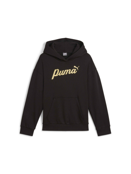Худи PUMA Ess+ Script Hoodie Fl модель 682780 Фото