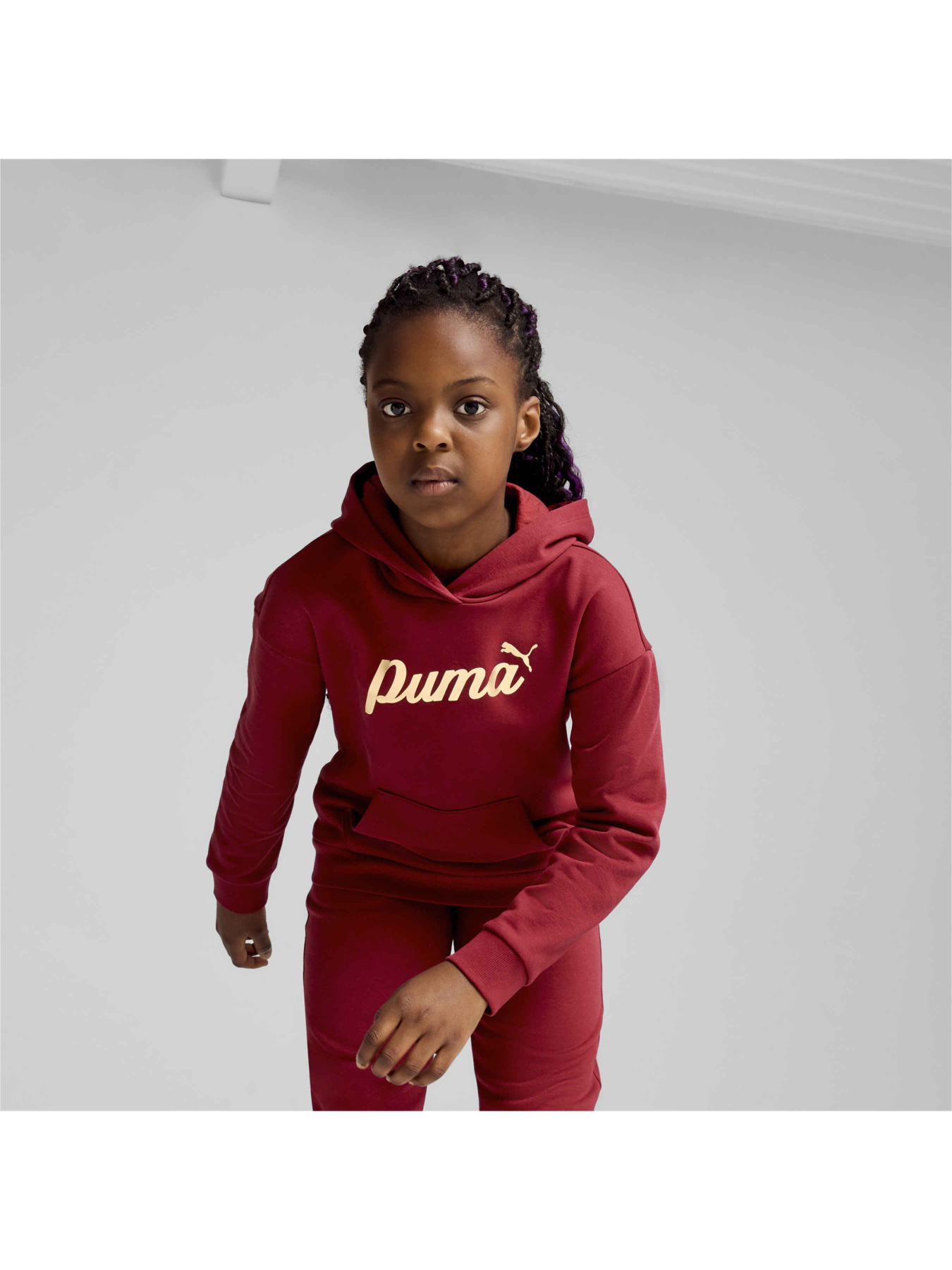 Худі PUMA Ess+ Script Hoodie Fl модель 682780 Фото