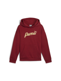Худі PUMA Ess+ Script Hoodie Fl модель 682780 Фото