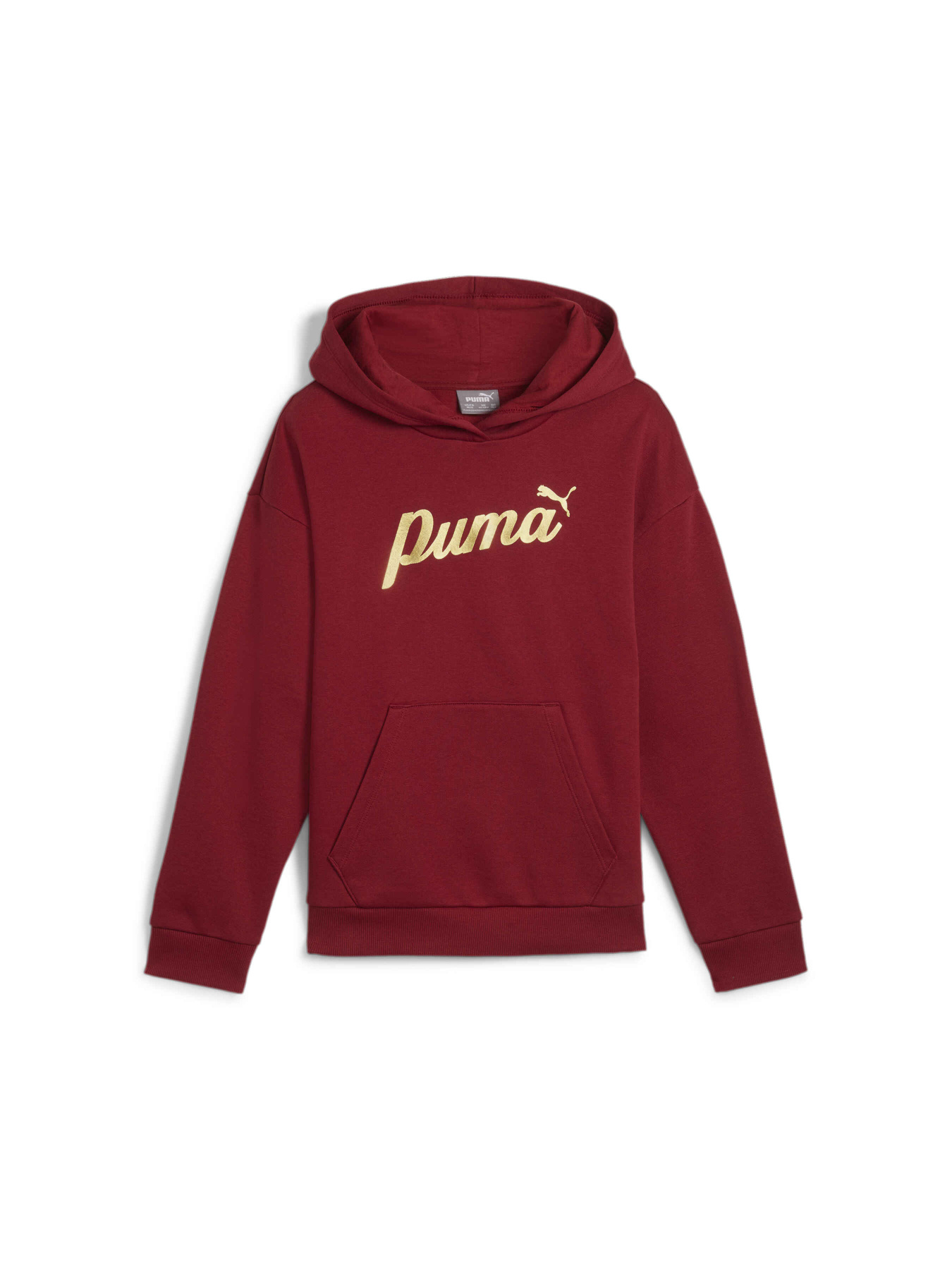 Худі PUMA Ess+ Script Hoodie Fl модель 682780 Фото