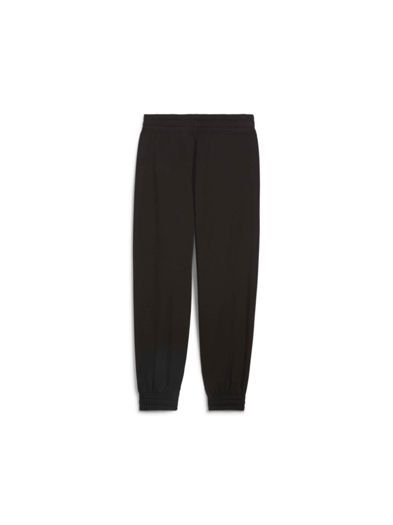 Брюки PUMA Bmw Mms Wmn Ess+ Pants модель 625965 Фото