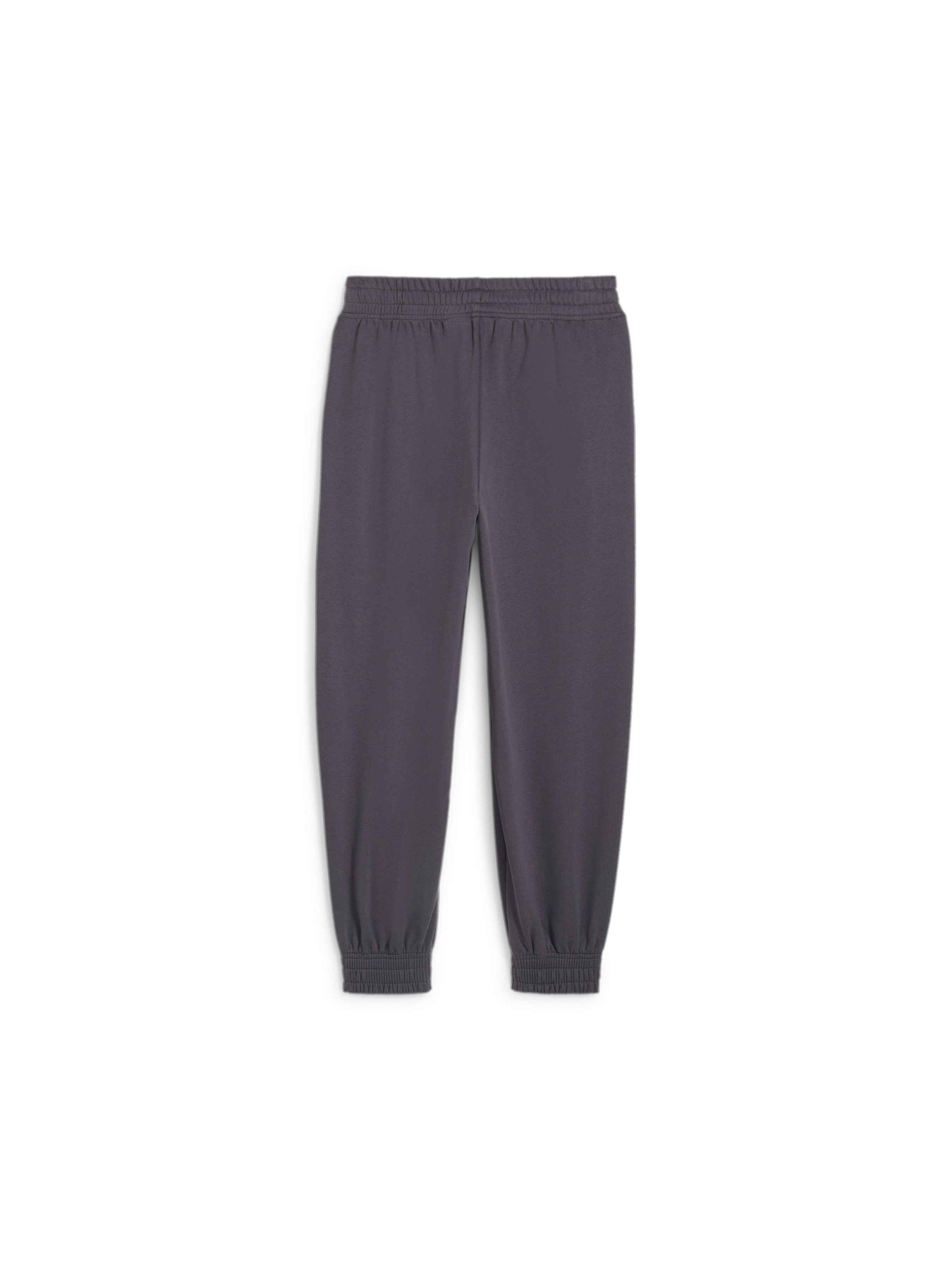 Штаны спортивные PUMA Bmw Mms Wmn Ess+ Pants модель 625965 Фото