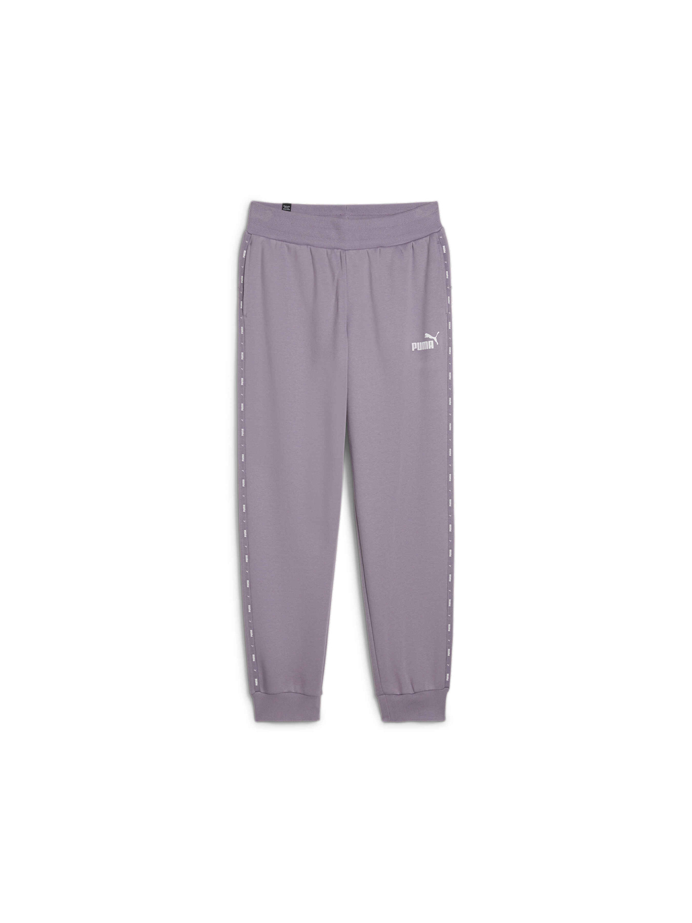 Штаны спортивные PUMA Ess Tape Sweatpants модель 675999 Фото