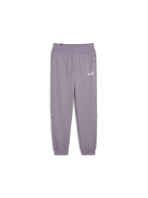 Штаны спортивные PUMA Ess Tape Sweatpants модель 675999 Фото