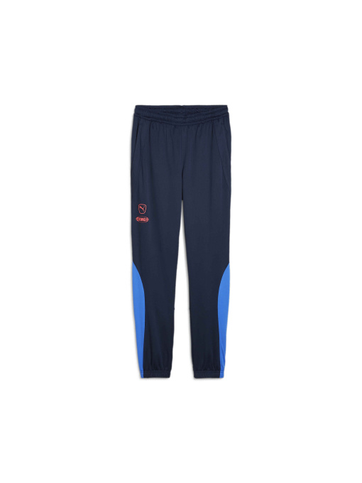 Штаны спортивные PUMA King Pro Training Pants модель 658351 Фото