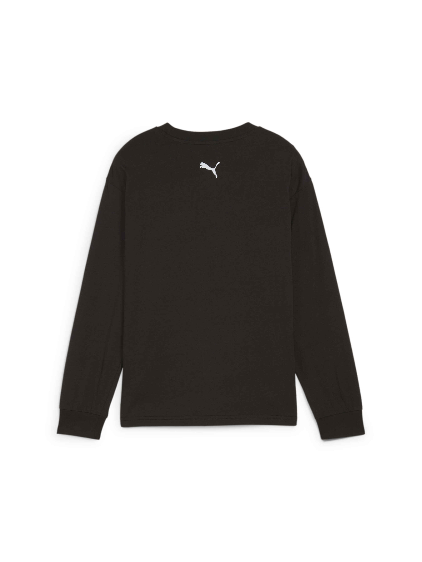 Лонгслив PUMA Martian Sunset Longsleeve модель 626461 Фото