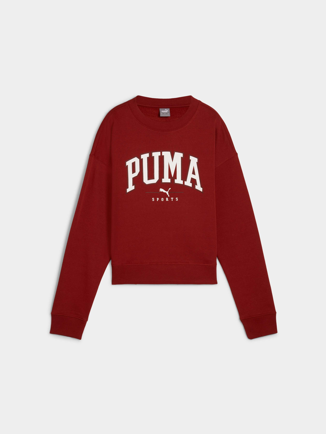 Свитшот PUMA Squad Crew Fl модель 681539 Фото