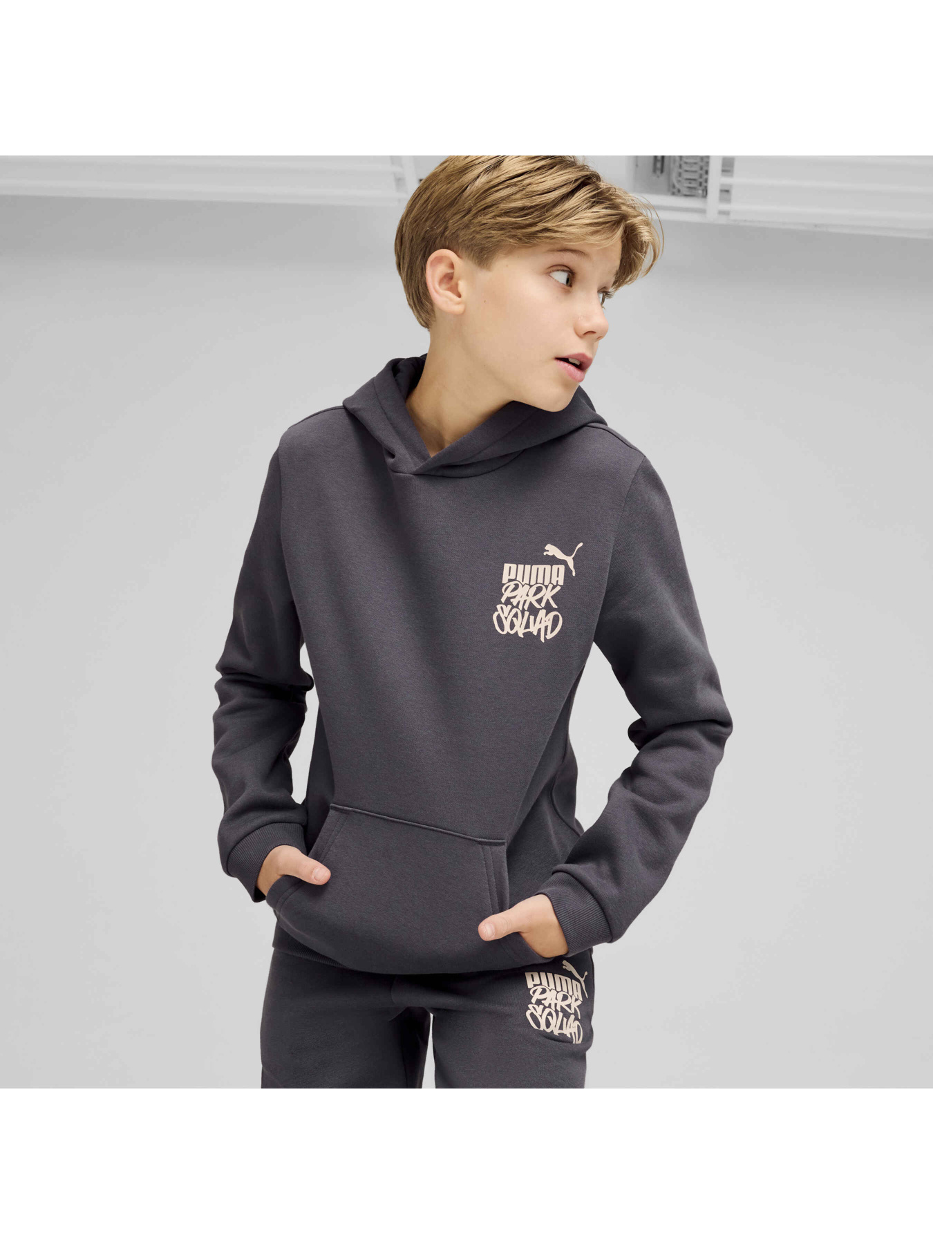 Худи PUMA Ess+ Mid 90s Hoodie Fl модель 681877 Фото