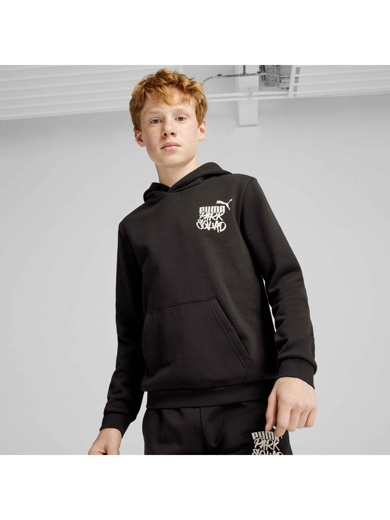 Худи PUMA Ess+ Mid 90s Hoodie Fl модель 681877 Фото