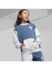 Свитшот PUMA Classics Fc Crew модель 626498 Фото