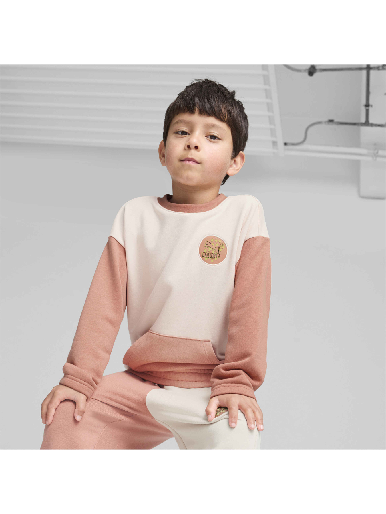 Свитшот PUMA Classics Fc Crew модель 626498 Фото