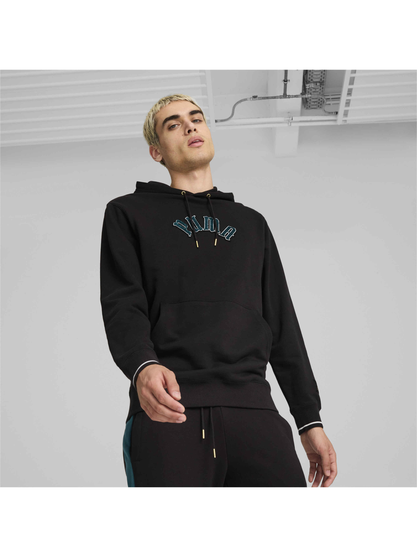 Худи и свитшоты PUMA Classics Play.paris. Hoodie модель 626766 Фото