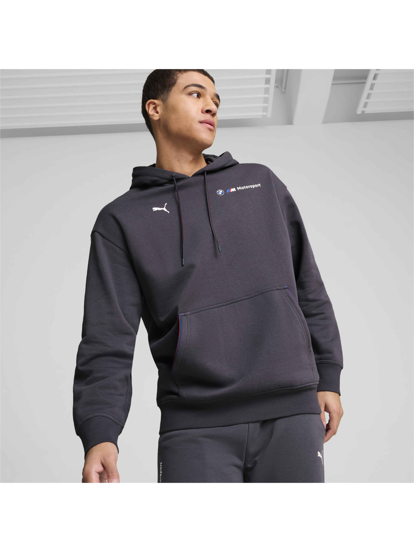 Худи PUMA Bmw Mms Ess+ Hoodie Fleece модель 627498 Фото