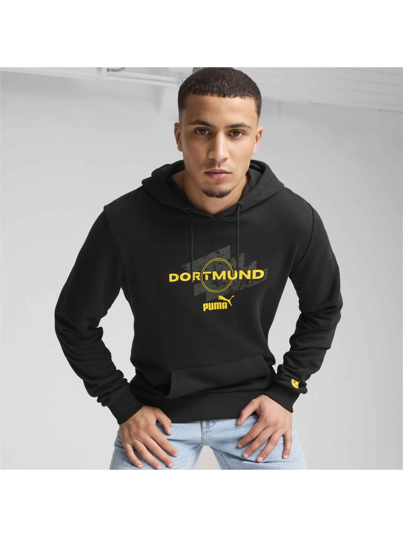 Худи PUMA Bvb Ftblculture Hoodie модель 777743 Фото