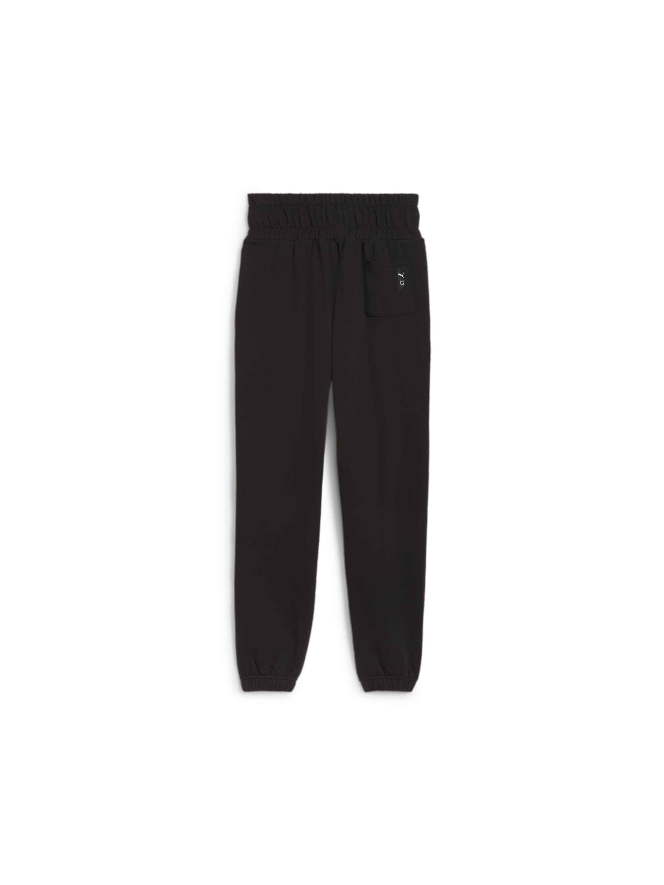 Штани PUMA Pivot Sweat Wmn модель 627597 Фото