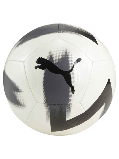 Мячи PUMA Cage Ball модель 084346 Фото